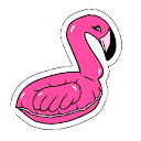 flamingocams Avatar